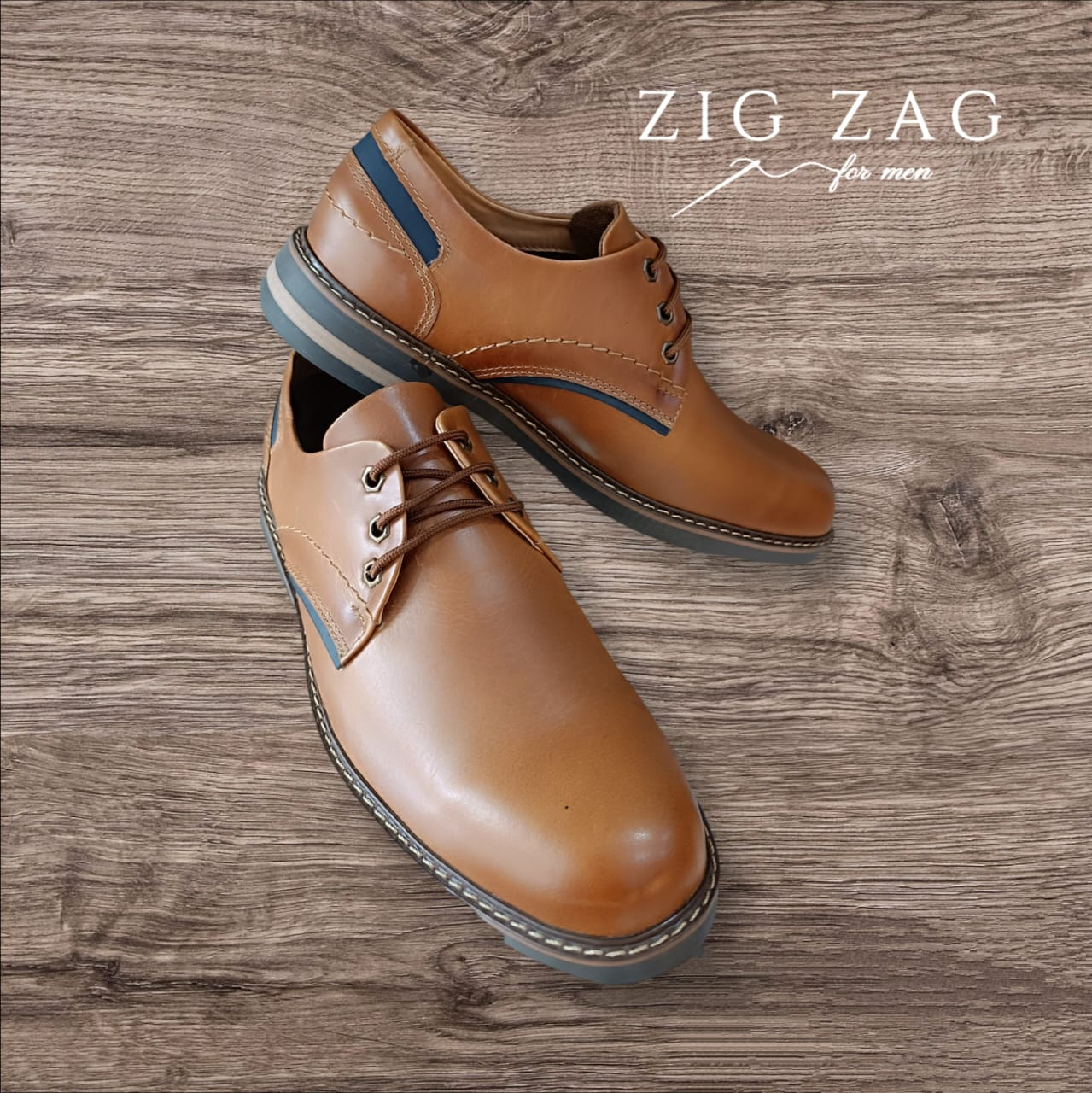 Zapato de vestir elegante